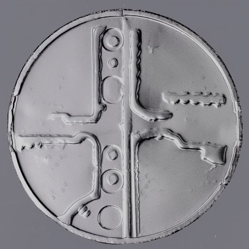 SEM — microfluidic silicon chip