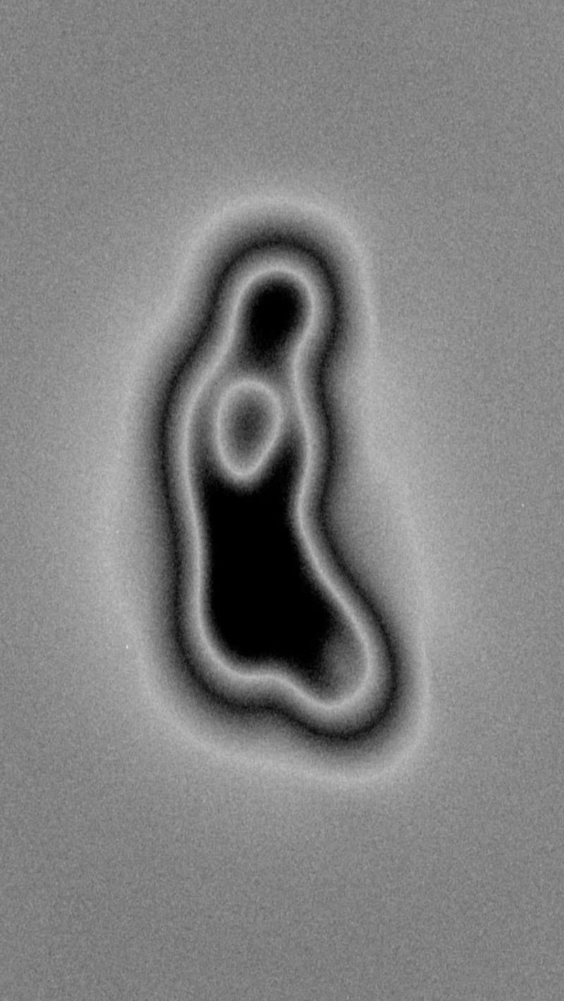 STM — single molecule